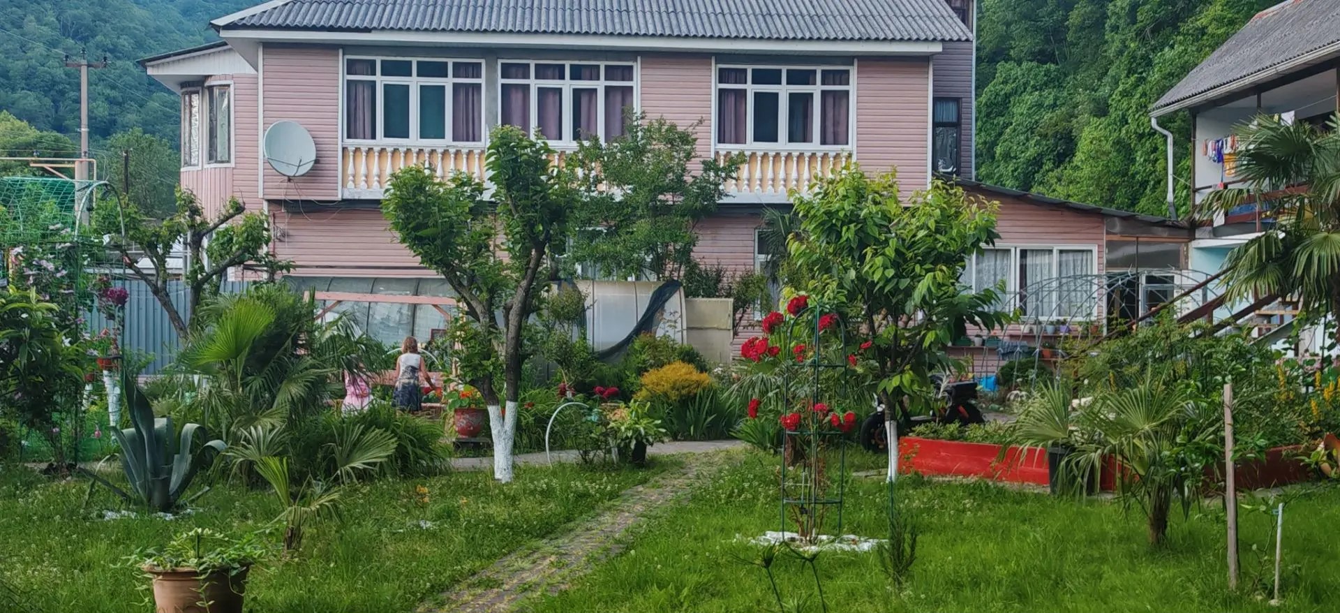 Лесная прохлада в Солониках